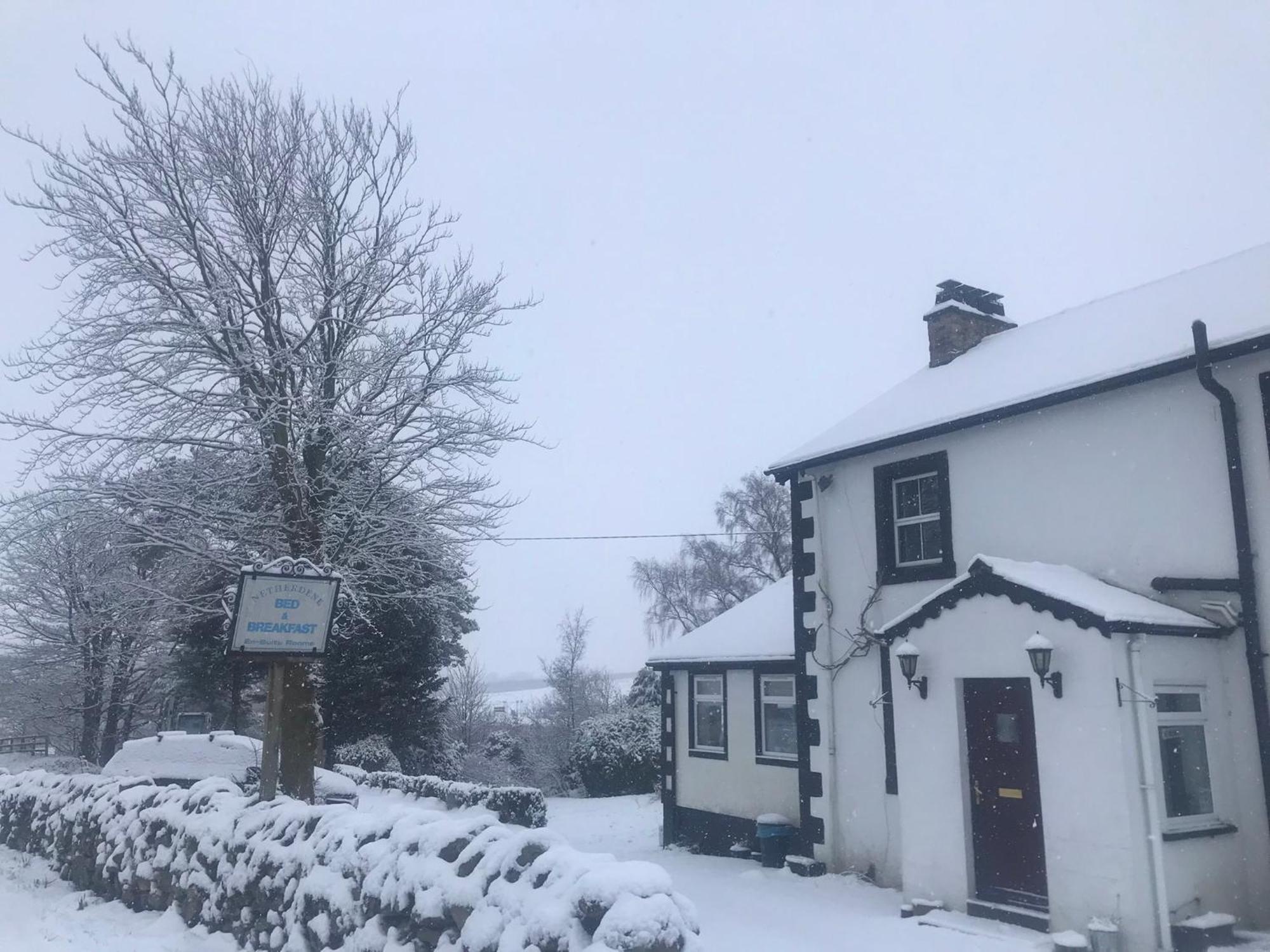 Netherdene Country House Bed & Breakfast トラウトベック エクステリア 写真