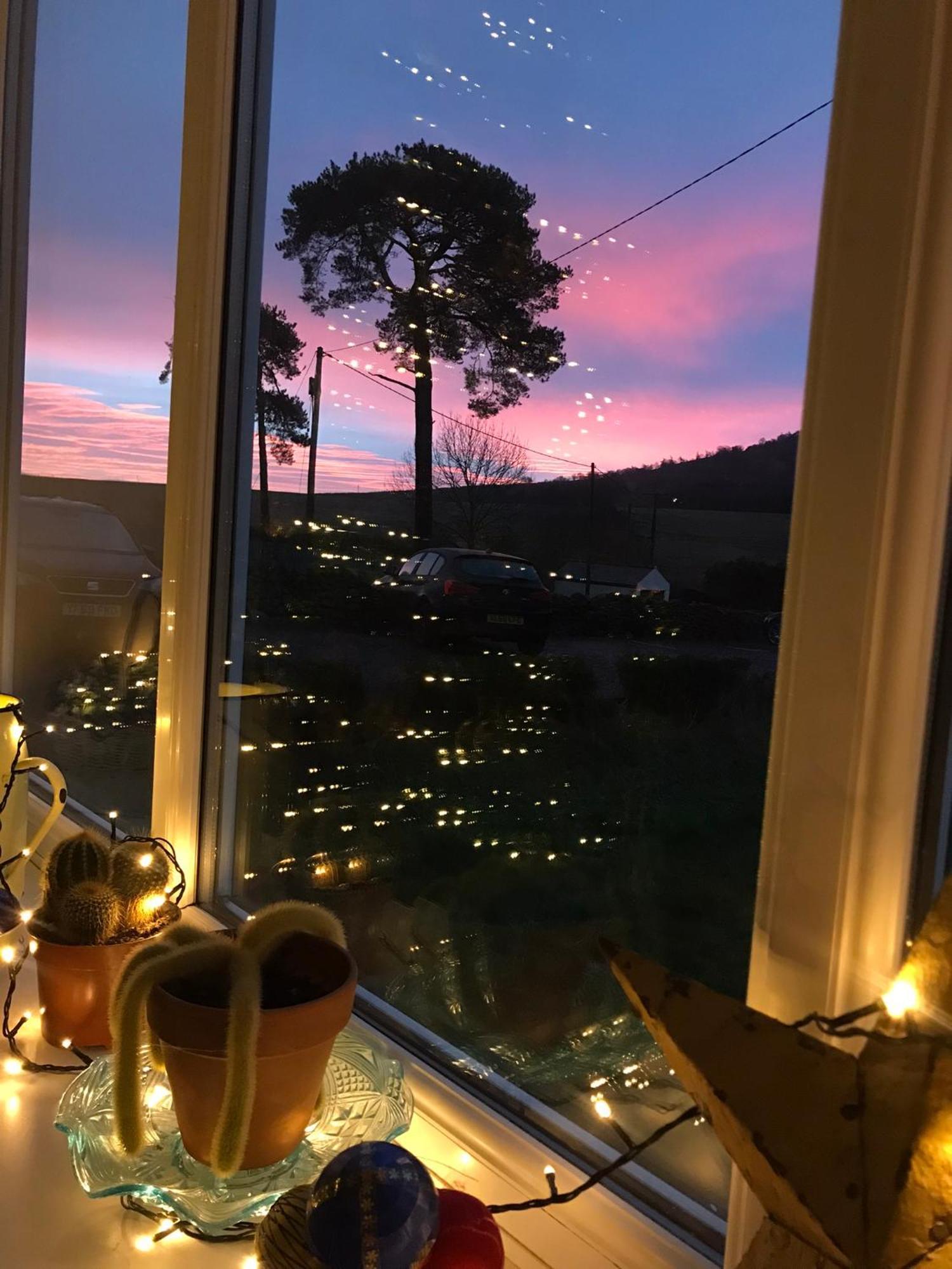 Netherdene Country House Bed & Breakfast トラウトベック エクステリア 写真